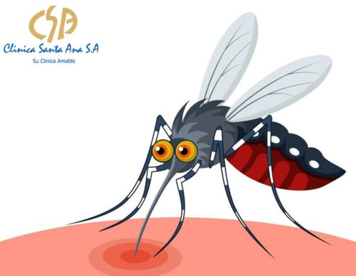 Manual de Prevención del Chikunguya